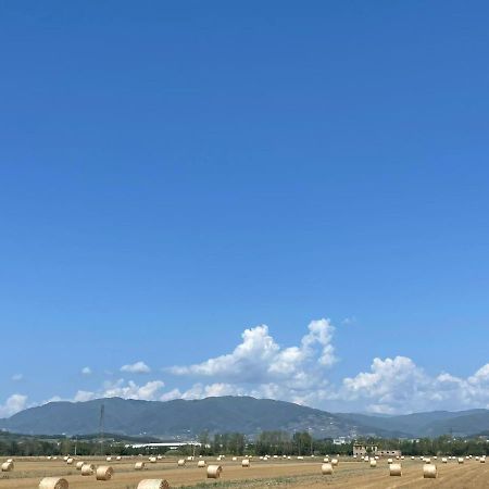 Lucca Holiday Rental- By The Walls N 395 Esterno foto